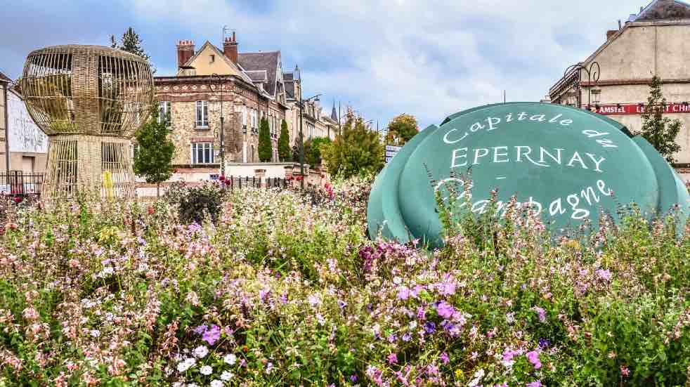 Flowers at Epernay